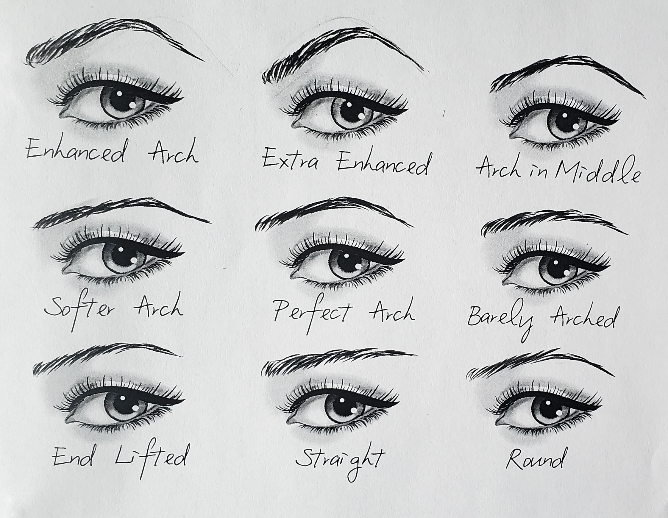 Eyebrow Shapes
